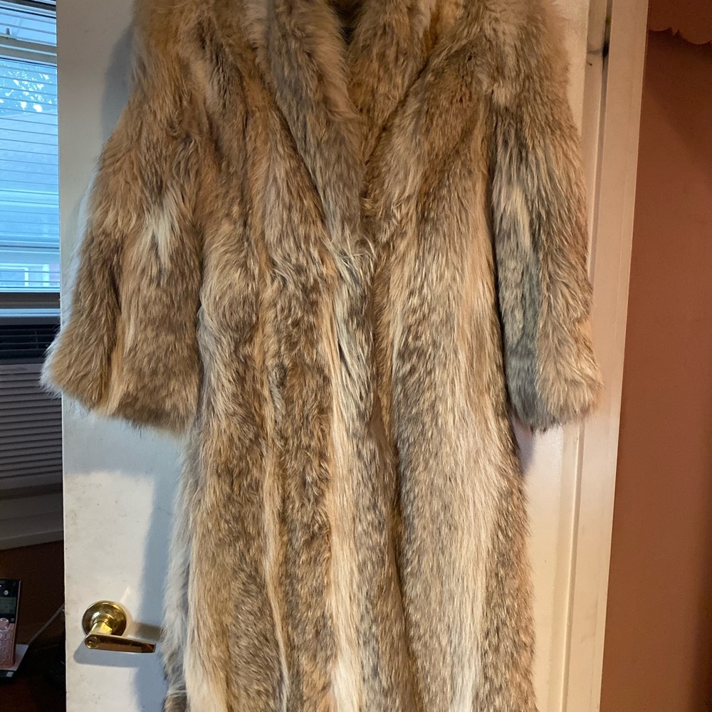 Coyote fur